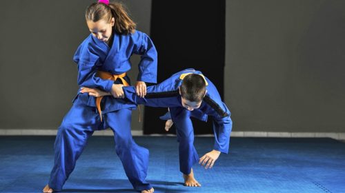 martial arts, martial arts program