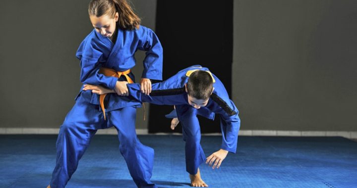 martial arts, martial arts program