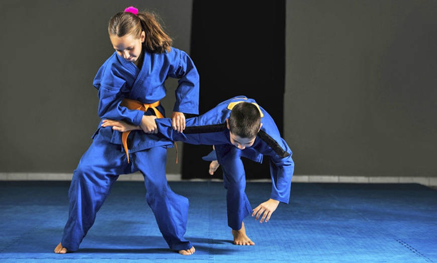 martial arts - My MMA News martial arts, martial arts program