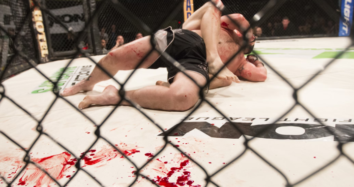 MMA Betting